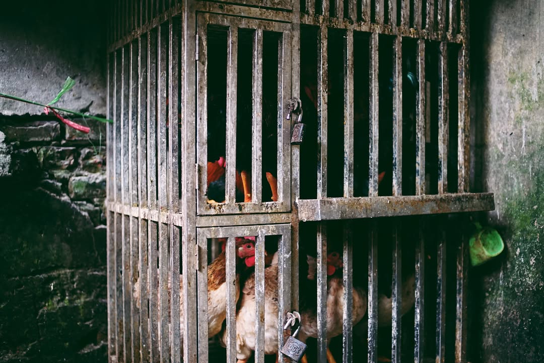 Hanoi